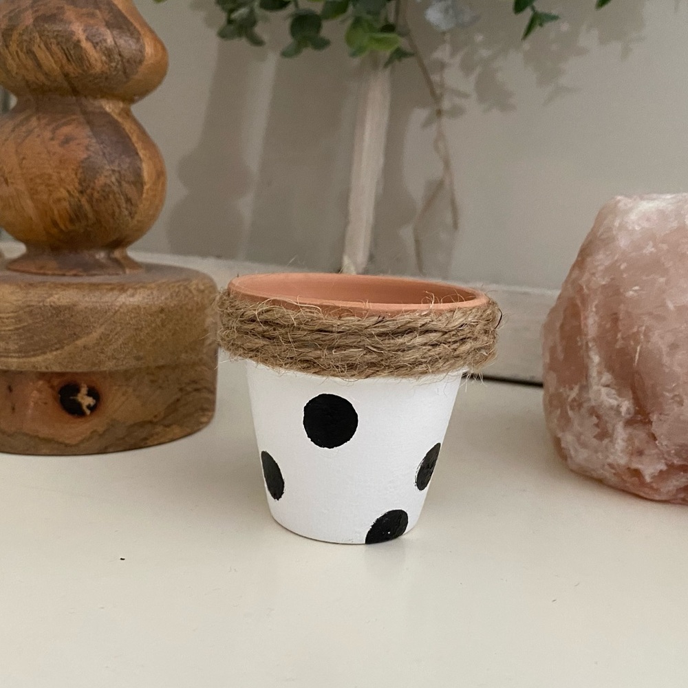 ☀️3/$20 Black and white mini flower pot